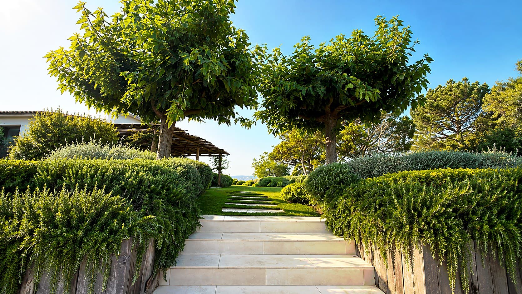 Allée de pierre bordée de massifs taillés et de mûriers platanes, dans un jardin du Golfe de Saint-Tropez